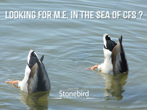 Looking for ME in the sea of CFS ?